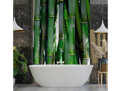 Fotótapéta Zöld bambuszok