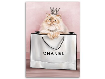 Vászonkép Macska a Chanel táskában