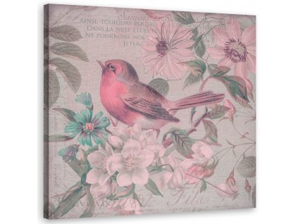 Vászonkép Egy kis madár a rózsaszín virágok között - Andrea Haase