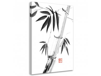 Vászonkép Fekete-fehér bambusz - Péchane