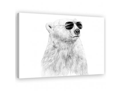 Vászonkép Fekete-fehér medve szemüveggel - Rykker