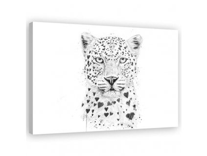 Vászonkép Fekete-fehér leopárd - Rykker