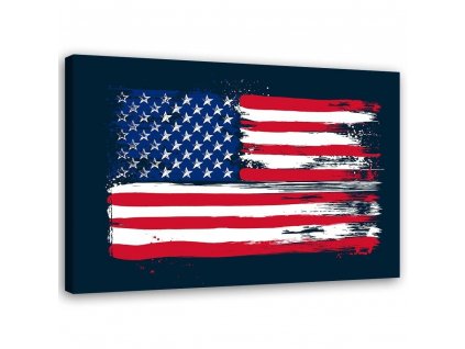 Vászonkép Amerikai zászló - Dr.Monekers