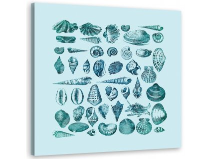 Vászonkép Kék kis kagylók - Andrea Haase