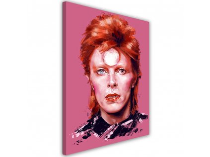 Vászonkép Portré David Bowie - Dmitry Belov