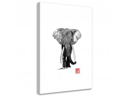 Vászonkép Elefánt séta - Péchane