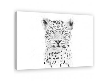 Vászonkép Nagy leopárd fej - Rykker