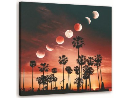 Vászonkép A Hold fázisai Kaliforniában - Rokibul Hasan