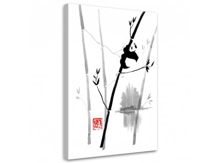 Vászonkép Panda a bambuszon - Péchane
