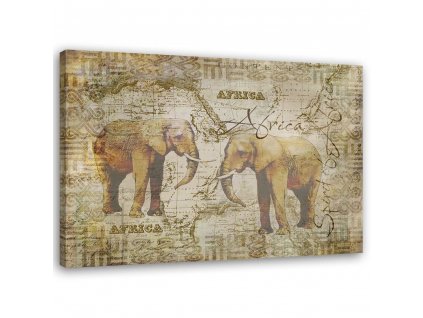 Vászonkép Két felnott elefánt - Andrea Haase