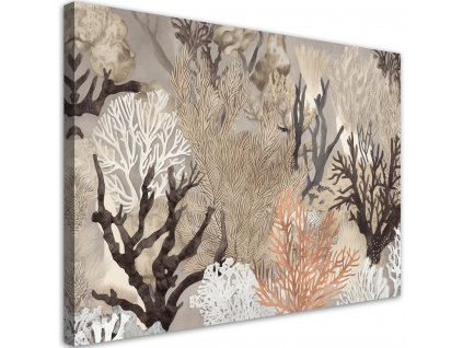 Vászonkép Víz alatti korallok