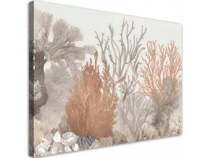 Vászonkép Gyönyörű korallok a tengerben