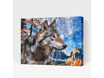 Festés számok szerint Farkas a hegyekben