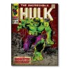 Vászonkép Marvel A hihetetlen Hulk (Monster Unleashed)