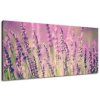 Vászonkép Gyönyöru levendulák