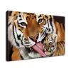 Vászonkép Tigris és kis tigris