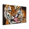 Vászonkép Tigris és kis tigris