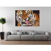 Vászonkép Tigris és kis tigris