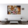Vászonkép Tigris és kis tigris