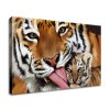 Vászonkép Tigris és kis tigris