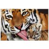 Vászonkép Tigris és kis tigris