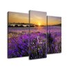 Órás falikép Levendulamezo - 3 részes