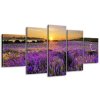 Órás falikép Levendulamezo - 5 részes