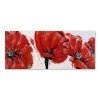 Vászonkép 3 piros pipacs