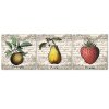 Vászonképek készlet Retro gyümölcs - 3 részes
