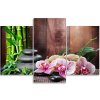 Vászonkép Orchidea, bambusz és kövek - 3 részes