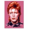 Vászonkép Portré David Bowie - Dmitry Belov