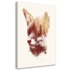 Vászonkép Foxy tükör - Robert Farkas