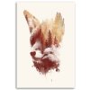 Vászonkép Foxy tükör - Robert Farkas