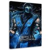 Vászonkép Mortal Kombat játék A karakter Sub-Zero - SyanArt