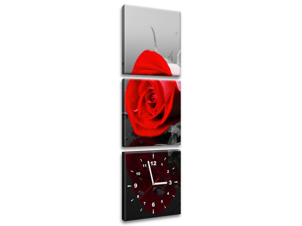 3 dielny obraz s hodinami Roses and spa