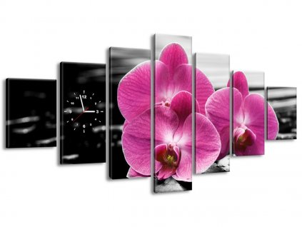 7 dielny obraz s hodinami Krásna orchidea medzi kameňmi