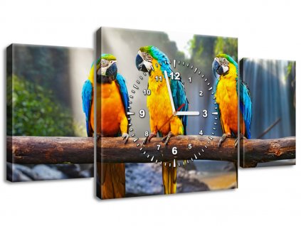 3 dielny obraz s hodinami Farebné papagáje