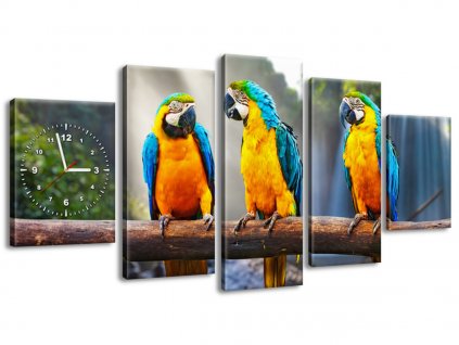 5 dielny obraz s hodinami Farebné papagáje