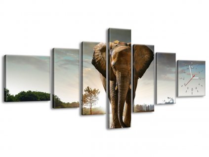 7 dielny obraz s hodinami Osamelý silný slon