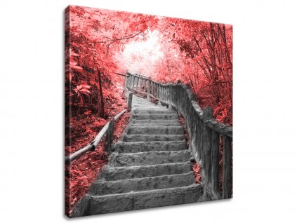Obraz na plátne Schody v červenom lese