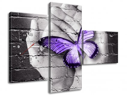 3 dielny obraz s hodinami Fialový motýľ na dlaniach