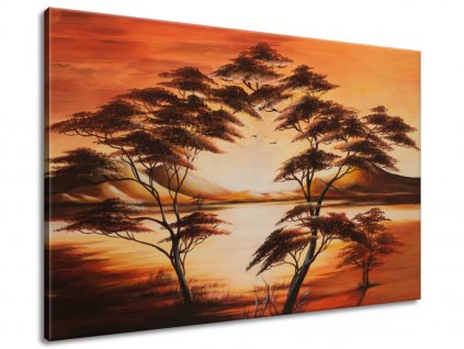 Ručne maľovaný obraz Krásna Afrika 120x80cm + Darček