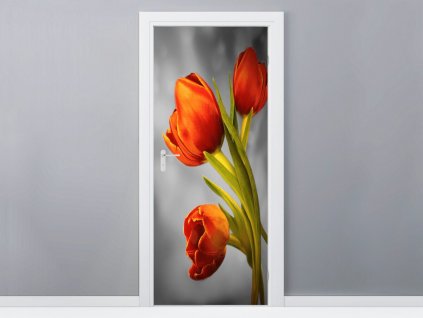 Fototapeta na dvere Nádherné červené tulipány