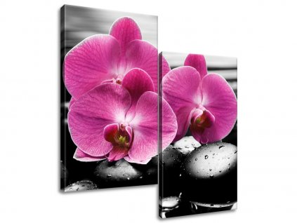 2 dielny obraz na plátne Krásna orchidea medzi kameňmi