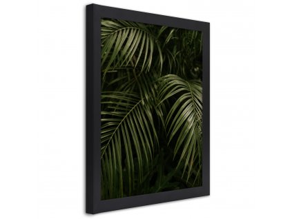 Plagát Exotické palmové listy