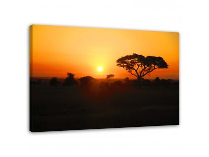Obraz na plátne Africký západ slnka