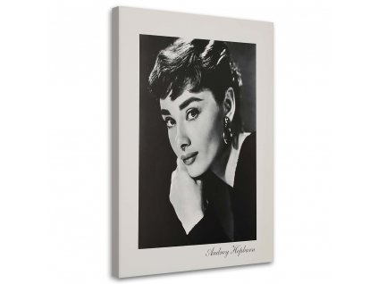 Obraz na plátne Audrey Hepburn - sépiový portrét