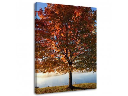 Obraz na plátne Jesenný strom