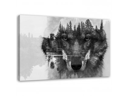 Obraz na plátne Čierny vlk na pozadí lesa a jazera abstraktné