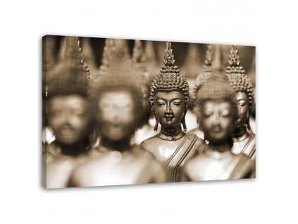 Obraz na plátne Budha v dave